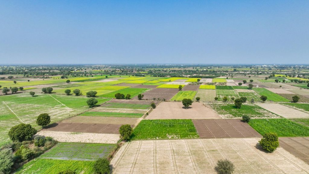 plots in palwal