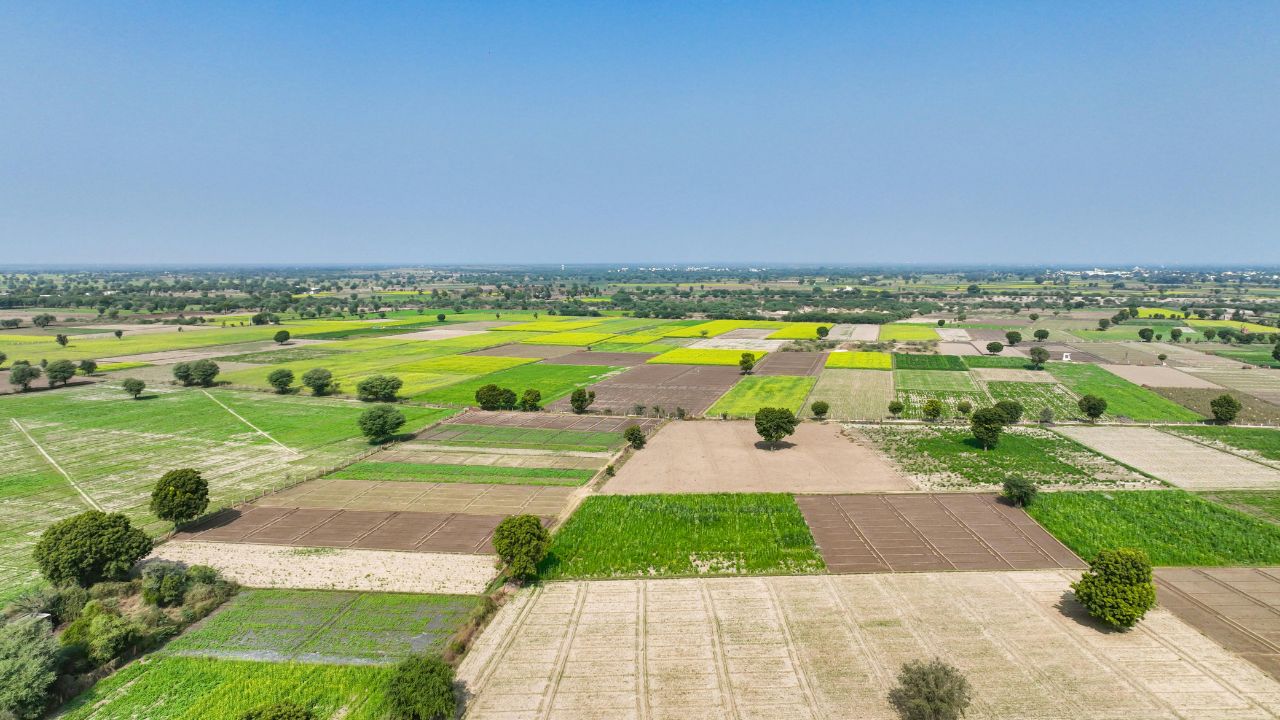 plots in palwal